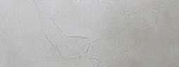 bd17c91678337664f086a43ab0c9b195_1655905540_0211.jpg