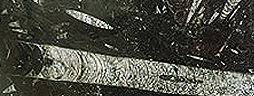 bd17c91678337664f086a43ab0c9b195_1655905840_0904.jpg