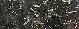 bd17c91678337664f086a43ab0c9b195_1655905840_1538.jpg
