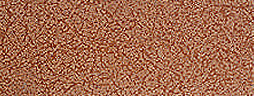 bd17c91678337664f086a43ab0c9b195_1655905840_5233.jpg